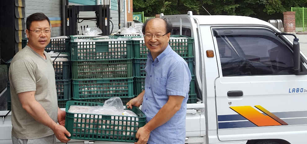 꼬꼬뱅 이미지