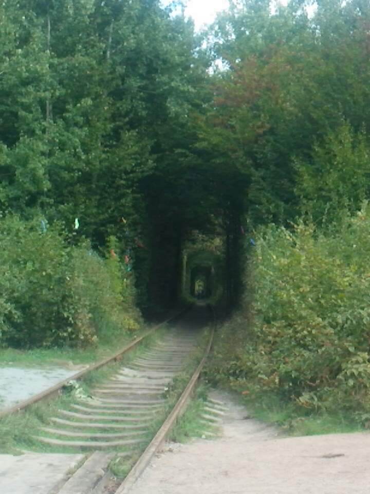 리브네일 이미지