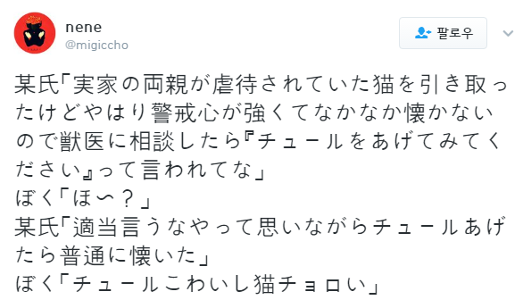 고양이계의 마​약.jpg | 인스티즈