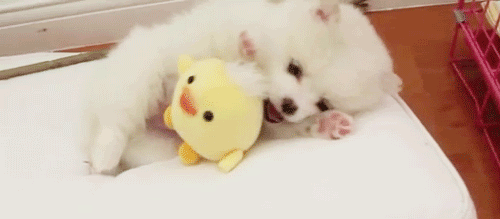 자꾸 눈이 가네 하얀 그 얼굴에.jpgif | 인스티즈