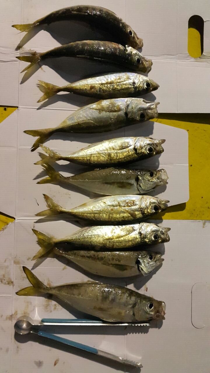 (주)바마 이미지