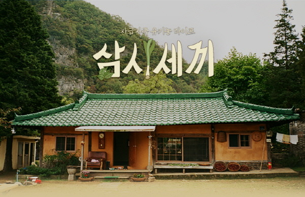 2015년 요일별 최고의 화제성 예능프로그램.jpg | 인스티즈