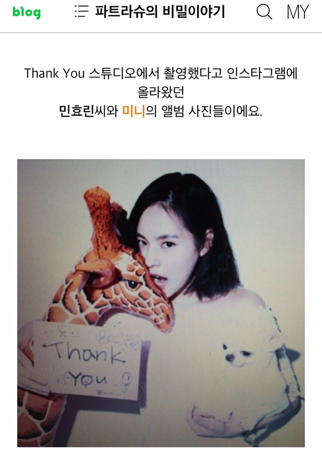 민효린햏이 키우는 반려동물이 왜 자주 바뀌는지 피드백해줬음하오 | 인스티즈