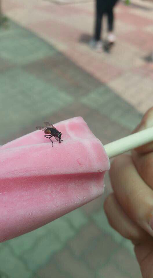 오늘자 파리 대참사..... | 인스티즈
