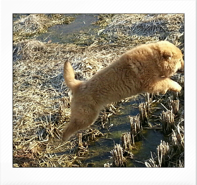 곰순이 이미지