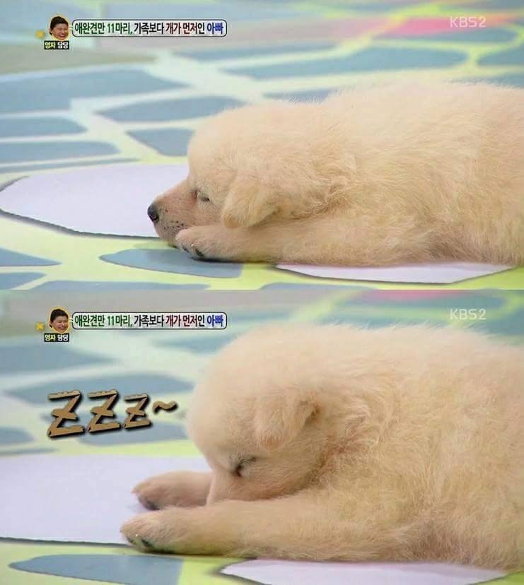 예능 나와서 대놓고 잠.. | 인스티즈