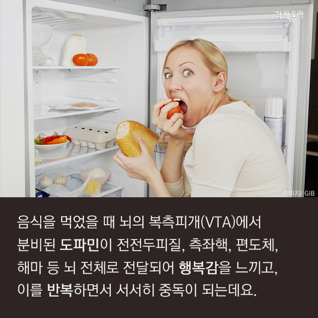살 빼려고 굶었는데 음식 중독이라고?! | 인스티즈