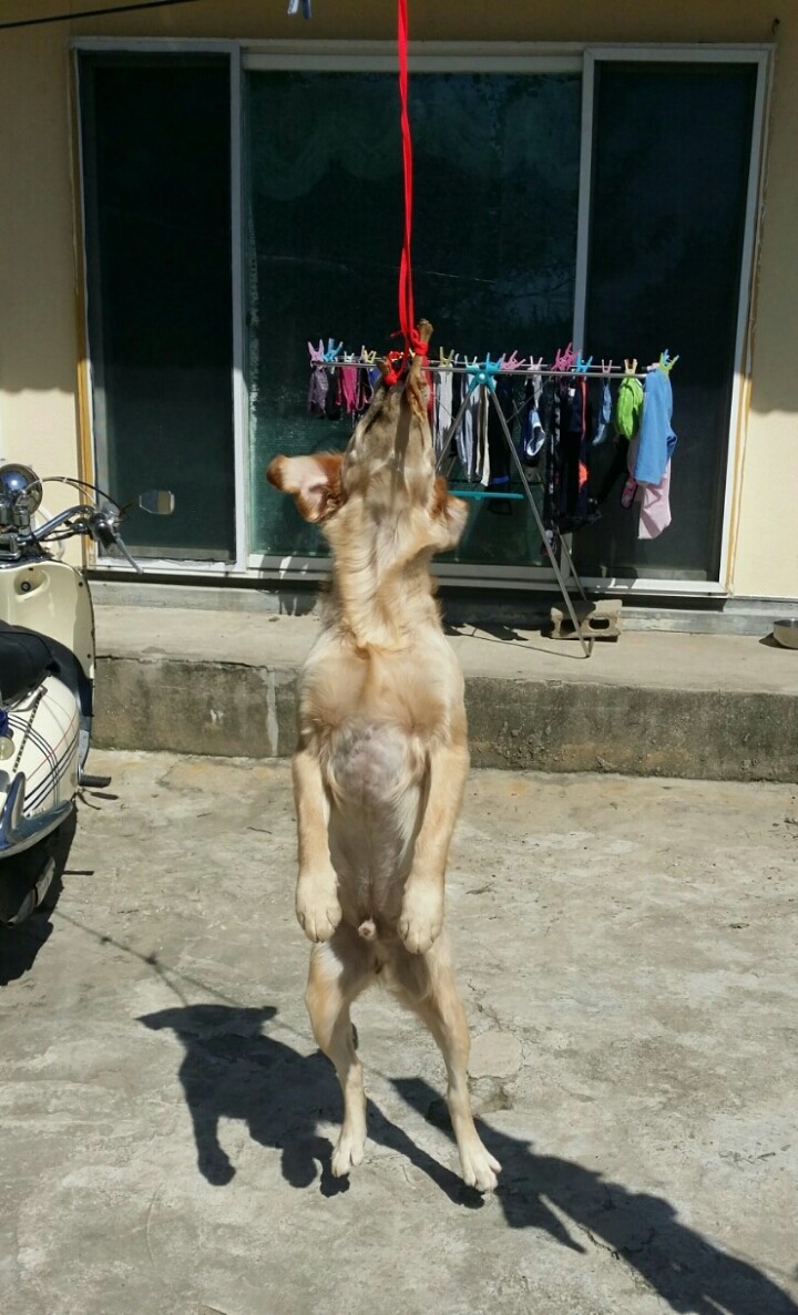 공주닭발 이미지