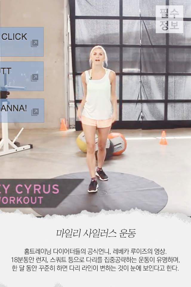 운동효과 좋기로 유명한 다이어트 비디오들 | 인스티즈