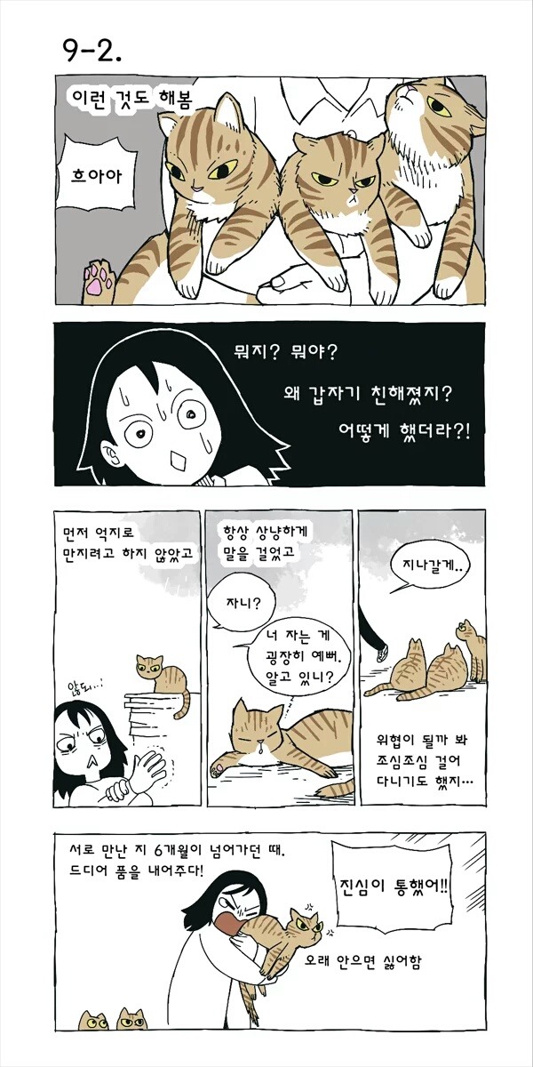 고양이 여덟마리와 사는만화 | 인스티즈