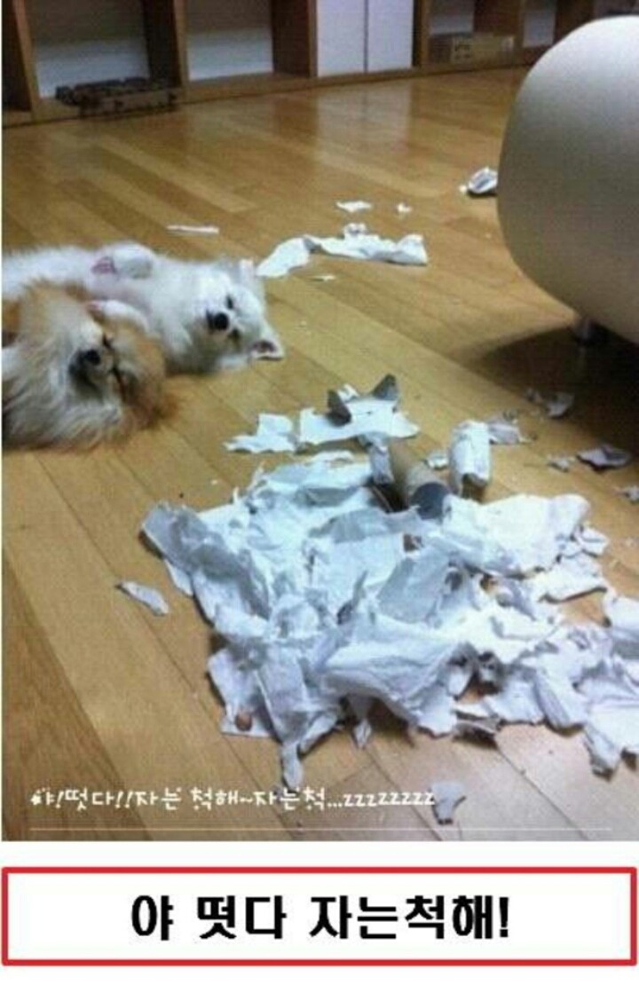 야 떳다! 자는 척해! | 인스티즈