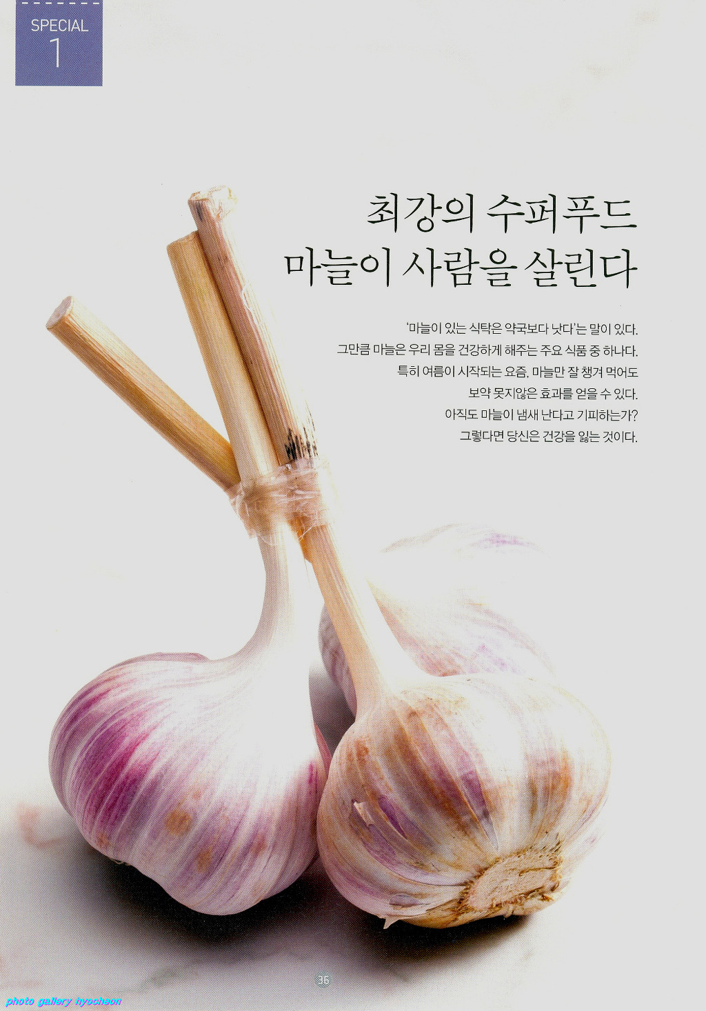 최강푸드 이미지