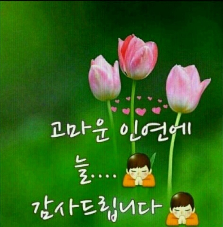 백향 이미지