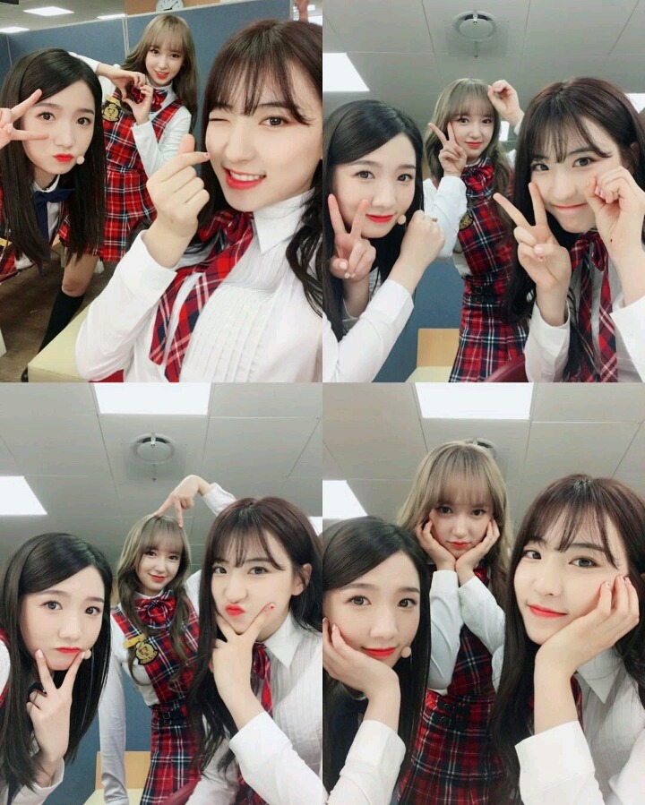 꽃길만 걷고싶은 그대들의 우주소녀 | 인스티즈
