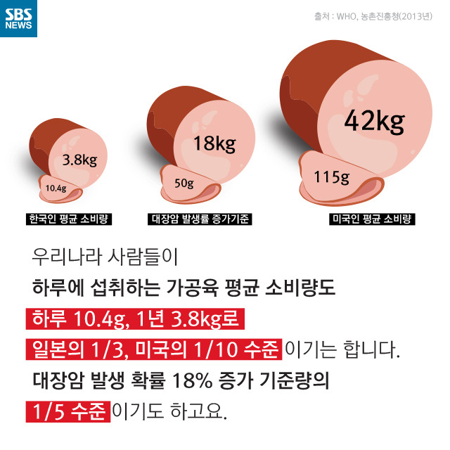 소시지는 암을 유발한다(?) | 인스티즈