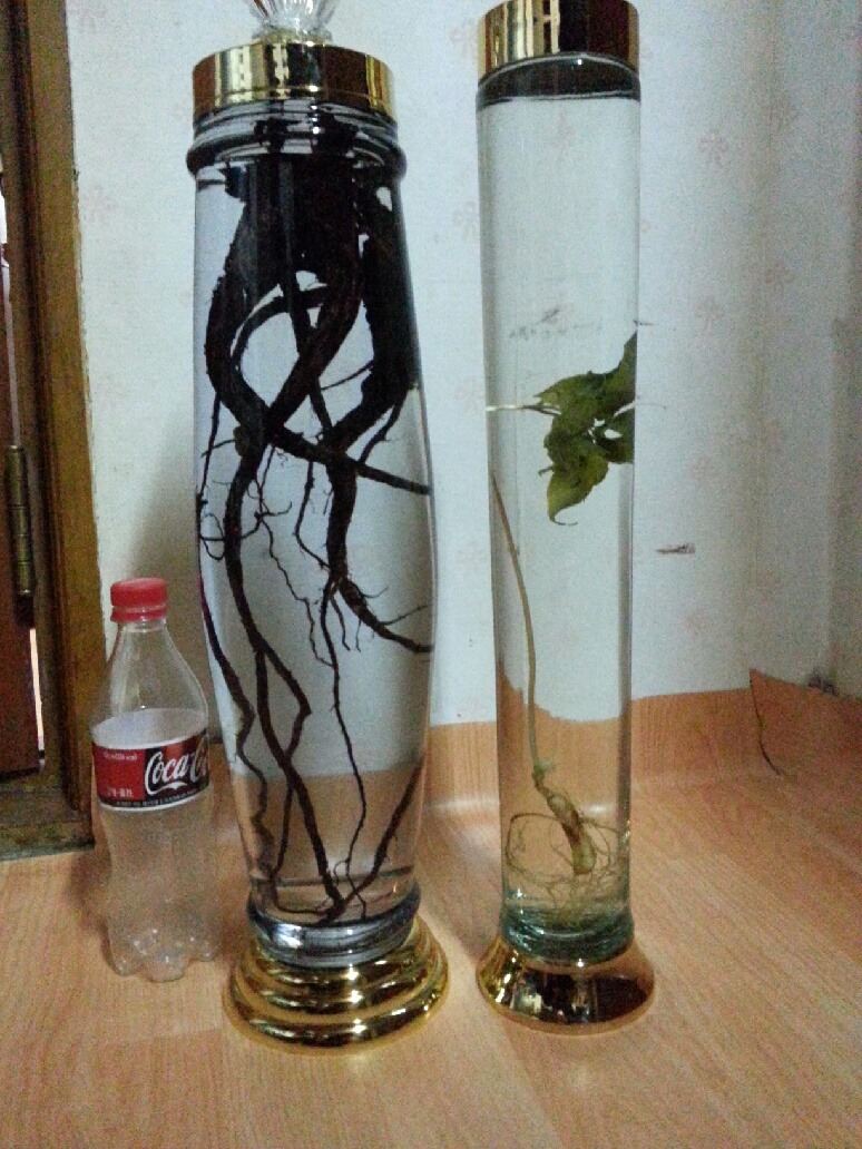 춘원 이미지