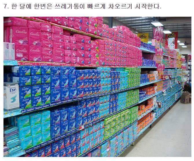 여자와 같이살면 생기는일들 | 인스티즈