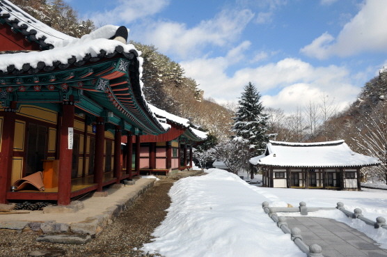 (주)선진관광여행사 이미지