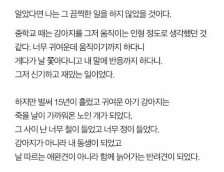 나는 개를 키운것을 후회한다 | 인스티즈