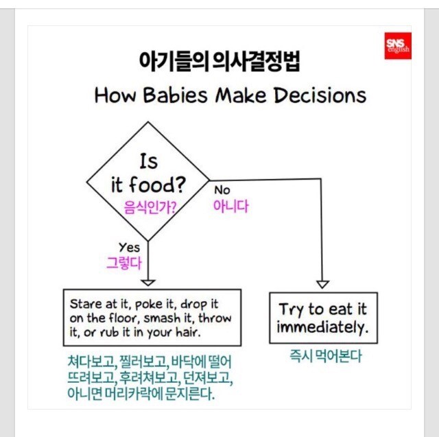 아기들 의사결정방법 | 인스티즈