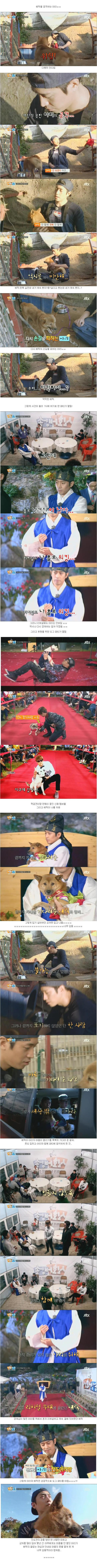 [신화방송] 상처 많은 유기견이 마음 여는 모습이 인상적이었던 방송 | 인스티즈