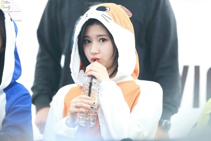 사나 개인기.gif | 인스티즈
