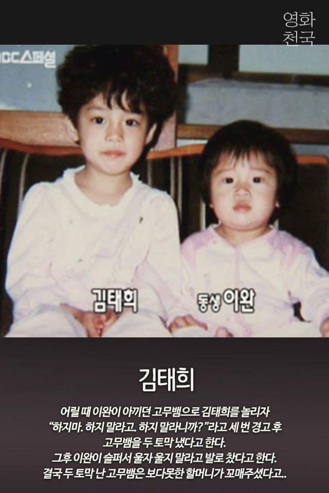 현실남매 돋는 연예인들의 남매 일화들 | 인스티즈