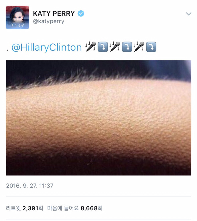 케이티 페리가 미국 대선에서 나체로 투표하겠다고 밝혔다 | 인스티즈