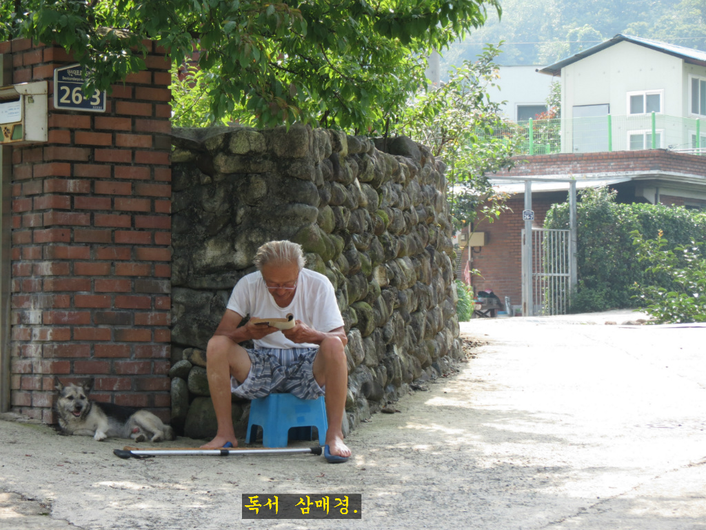 다듬 이미지