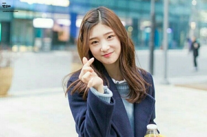 다심 이미지