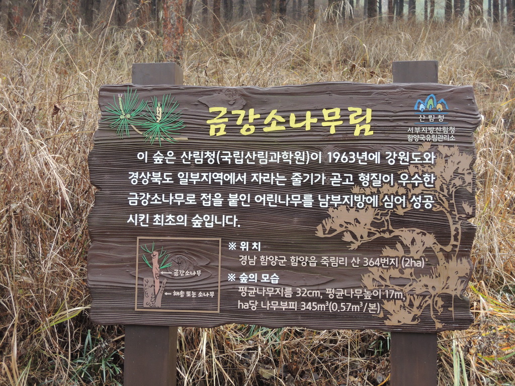 지리산 유아숲체험원 이미지
