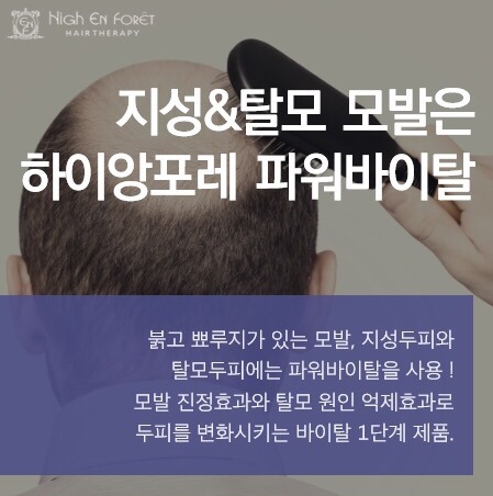앙포레 이미지