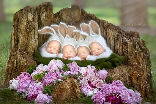 캐나다에서 태어난 일란성 네쌍둥이 | 인스티즈