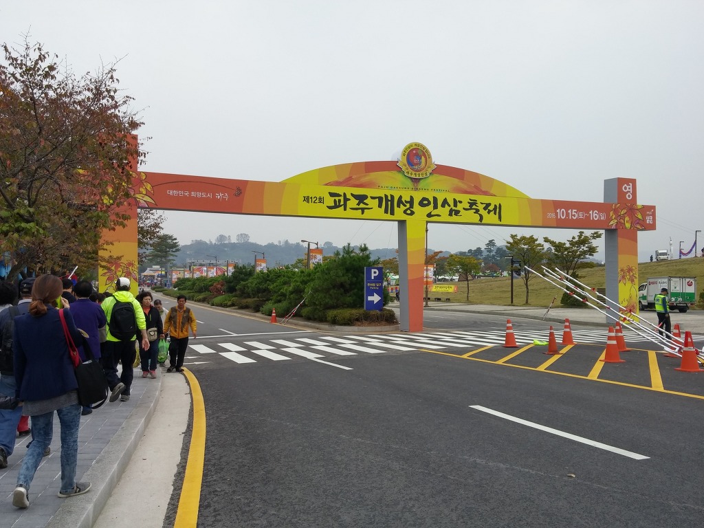 파주개성인삼 이미지