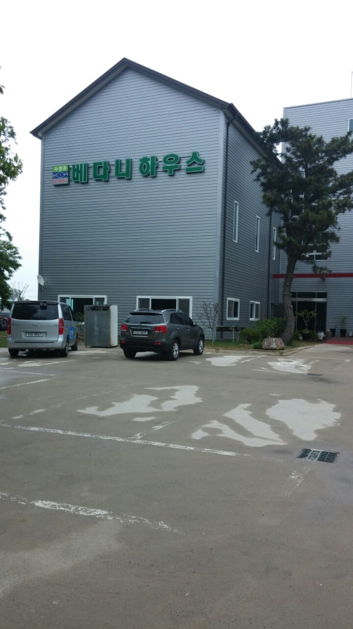 베다니 이미지