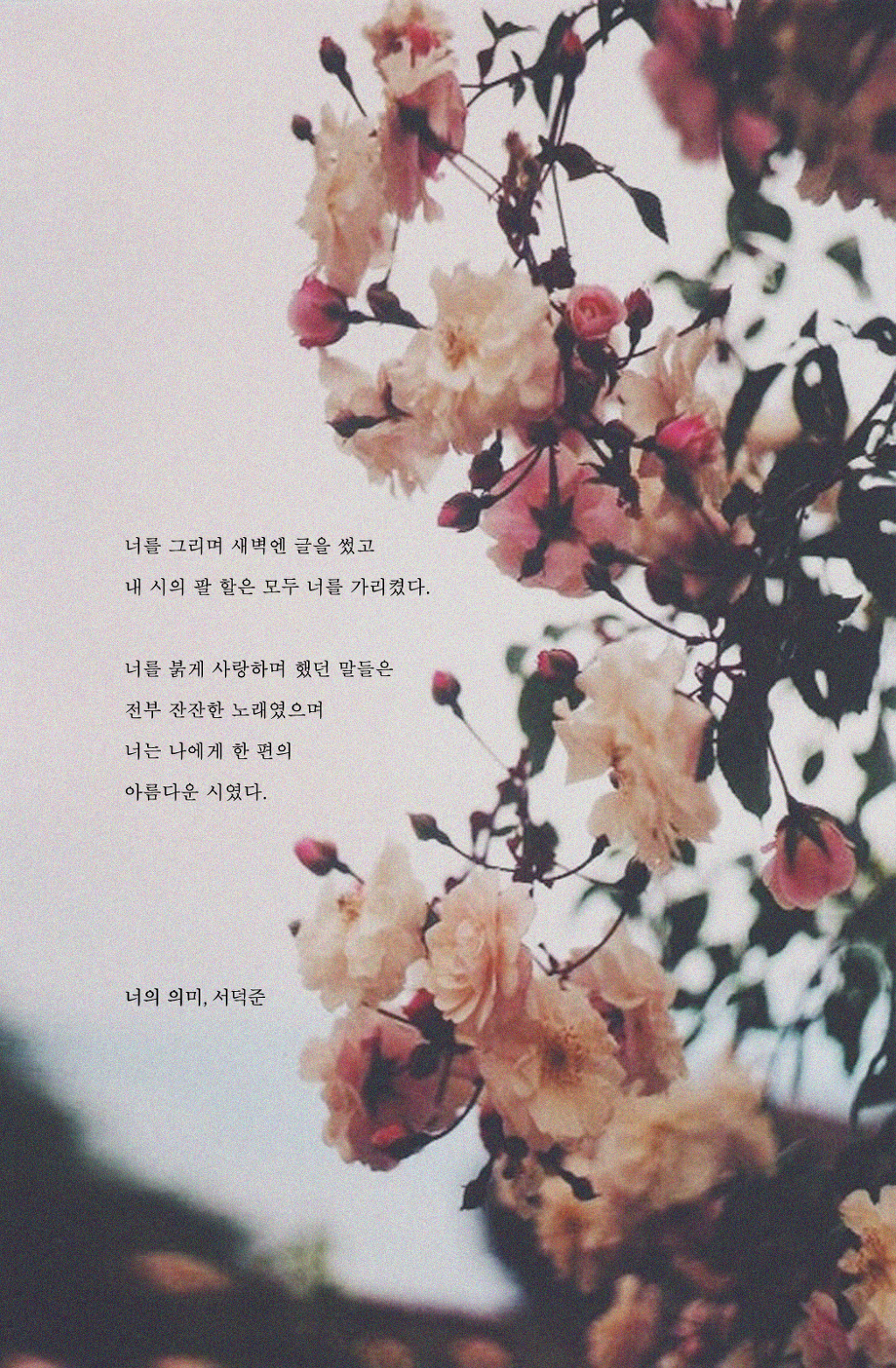 서덕준 시 모음 1 | 인스티즈