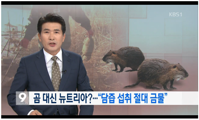 온갖 방법을 다 해도 해결할수 없던 문제가 테크트리 제대로 탐 | 인스티즈