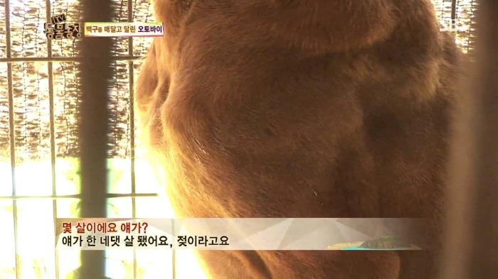 [TV동물농장] 동물농장에서 방송된 인천의 한 개 도축장의 현실.jpg | 인스티즈