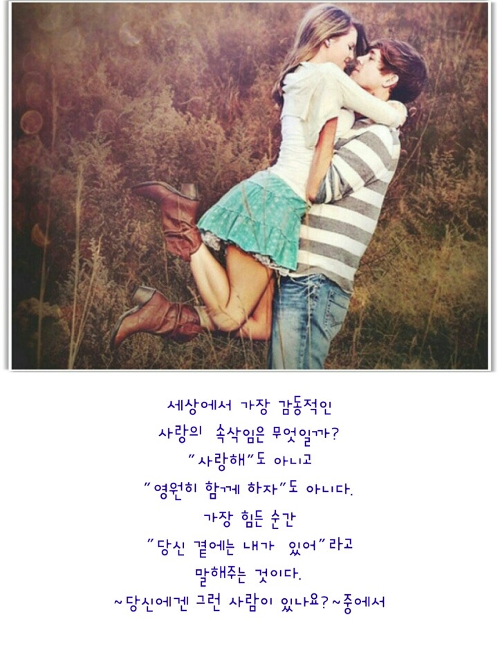 풀향 이미지