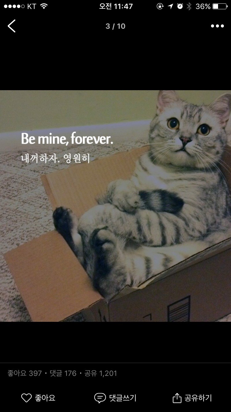 발렌타인데이에 읽어보면 좋을 달달한 영어표현 | 인스티즈