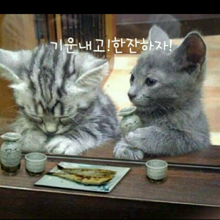 부자숯불고기집 이미지