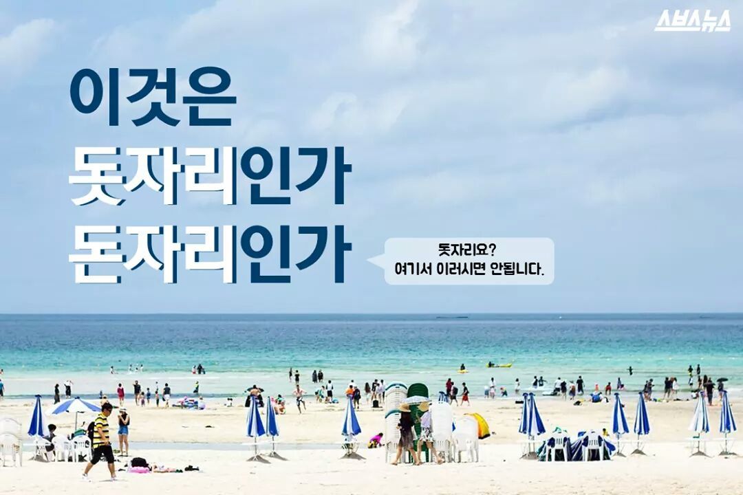 이것은 돗자리인가 돈자리인가 | 인스티즈