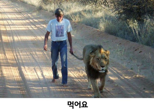 우리개는 어요; | 인스티즈