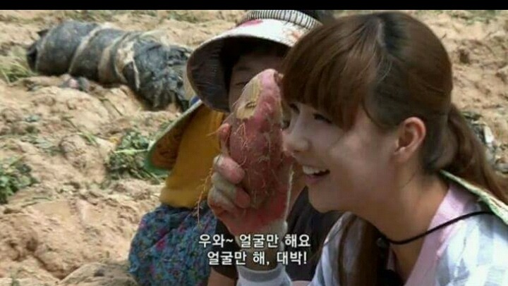 고구마 캐다가 빡쳐서 탈퇴한 아이돌 | 인스티즈