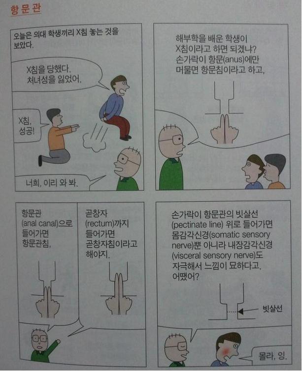 의대생의 똥침.jpg | 인스티즈