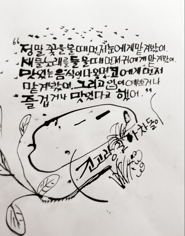아차돌 이미지