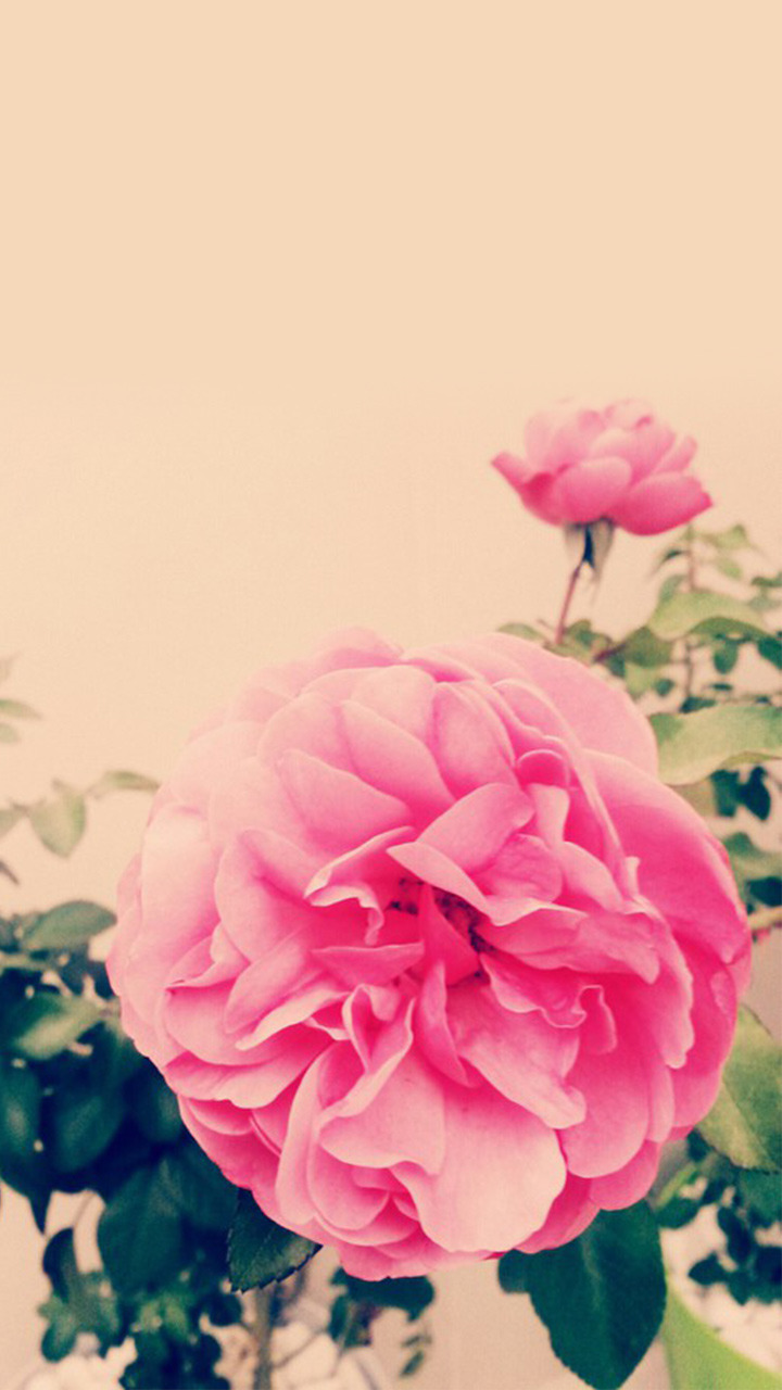 내 취향 스마트폰 배경화면9 | 인스티즈