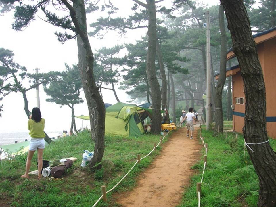 새한기획 이미지