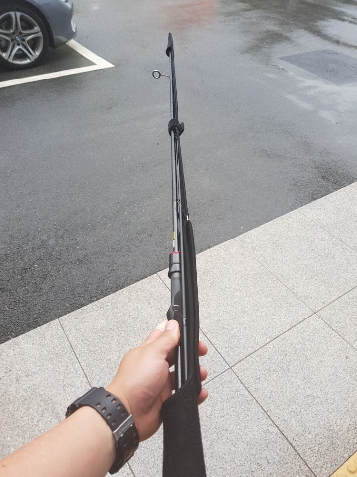 피네 이미지