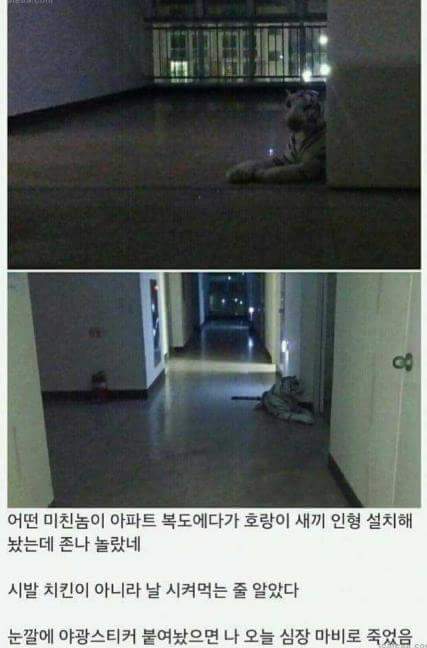 호랑이 팝니다 | 인스티즈